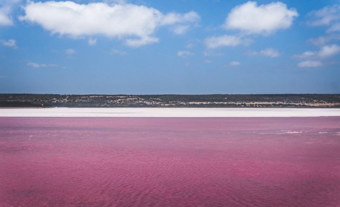 pink lake